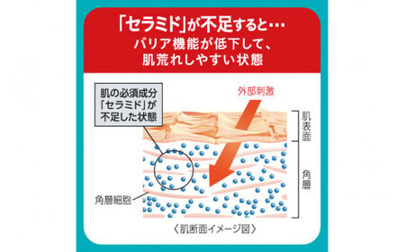 花王 キュレル　潤浸保湿 化粧水II　しっとり　2個セット｜ 化粧品 化粧水 コスメ 敏感肌 