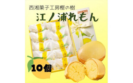 西湘菓子工房樫の樹　江ノ浦れもん10個入りギフト 【 お菓子 スイーツ 神奈川県 小田原市  お菓子】