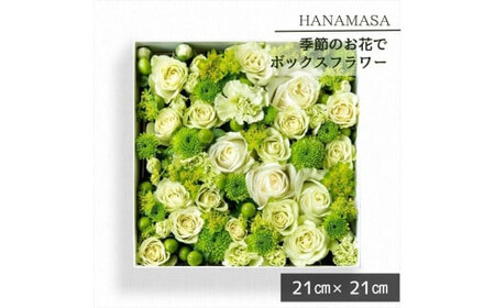 季節のお花でボックスアレンジメント（21cm×21cm）【 神奈川県 小田原市 花 花 】