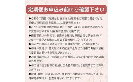 【定期便 全6回・毎月2回】「毎月2回」届く、旬の花束 ｜ 花束