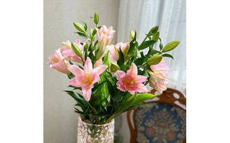 ピンクユリの花束【 神奈川県 小田原市 ユリ ユリ 】