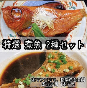 特選煮魚セット☆本鮪のカマの煮付け＋金目鯛の煮付け【煮魚 惣菜 海鮮