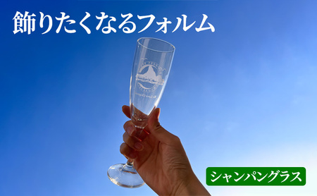 サザンＣグラスセット  タンブラー ビールグラス シャンパングラス 選べる2個セット A(烏帽子×烏帽子)