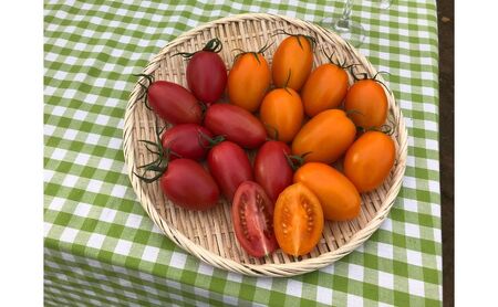 3種類のフレッシュなトマトの味わいが楽しめる　野崎農園　トマトジュースバラエティーセット　180ml×3種類×2本