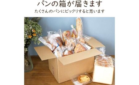 【定期便3ヶ月】茅ヶ崎B-grottoの人気パン入りおススメセット 食パン お惣菜パン クロワッサン 冷凍 パン/菓子パ菓子パン 