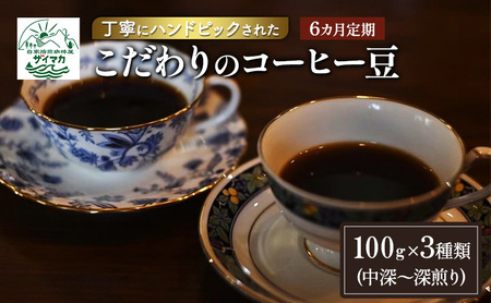 【6ヵ月定期便】丁寧にハンドピックされたこだわりのコーヒー豆100g×3種類(中深～深煎り)【粉】  珈琲 コーヒー豆 珈琲豆 豆 焙煎 自家焙煎 セット