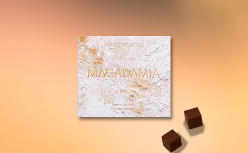 MAISON CACAO メゾンカカオ アロマ生チョコレート 2種セット（16粒×2箱）70％カカオ 海塩 マカダミア ギフトボックス入 冷凍配送 神奈川県茅ヶ崎市