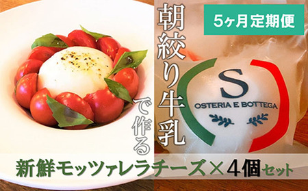 【5ヶ月定期便】【出来立て新鮮】モッツァレラチーズ100g×4個セット