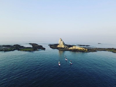 (5)海洋散骨セレモニー券(大切なご家族(ペット)とのお別れセレモニー) 海へ散骨