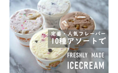 【湘南茅ヶ崎の人気店】 プレンティーズのアイスクリーム(バラエティセット10個) お菓子 スイーツ ひんやり デザート 夏 おしゃれ かわいい 食べ比べ