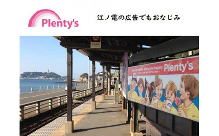 【湘南茅ヶ崎の人気店】 プレンティーズのアイスクリーム(バラエティセット10個) お菓子 スイーツ ひんやり デザート 夏 おしゃれ かわいい 食べ比べ