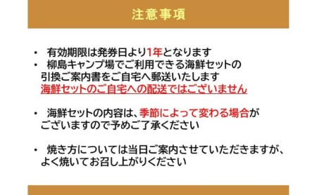 ちがさき柳島キャンプ場でBBQ！WAKUWAKU海鮮セット（引換券） 引き換えチケット バーベキュー 食事 食材 料理 海鮮BBQ 海の幸 魚介類 休日 昼食 アウトドア 