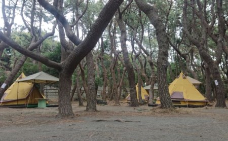 ちがさき柳島キャンプ場 セットアップテントで森林浴キャンプ