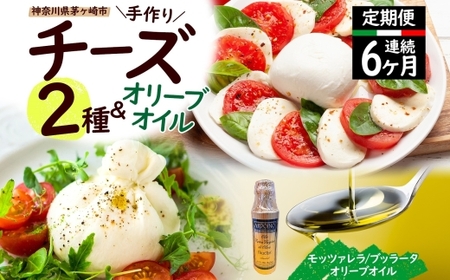 【ふるさと納税】6ヶ月定期便 フレッシュチーズ 2種 オリーブオイル セット モッツァレラ 100g 2個 ブッラータ 160g 1個 オリーブオイル 100ml チーズ おつまみ 送料無料 神奈川県 茅ヶ崎市