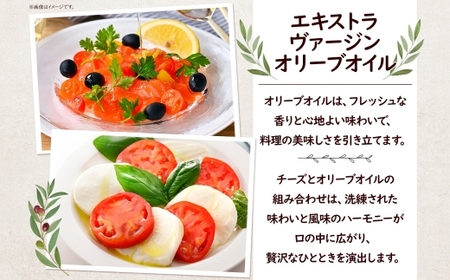 【ふるさと納税】6ヶ月定期便 フレッシュチーズ 2種 オリーブオイル セット モッツァレラ 100g 2個 ブッラータ 160g 1個 オリーブオイル 100ml チーズ おつまみ 送料無料 神奈川県 茅ヶ崎市