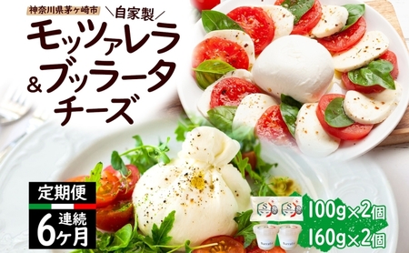【6ヶ月定期便】自家製 チーズ 詰め合わせ モッツァレラチーズ 100g  ブッラータチーズ180g 各2個 出来立て 神奈川県産 幻のチーズ  モッツァレラ ブッラータ 手作り Osteria e Bottega S 神奈川県 湘南 茅ケ崎 フレッシュチーズ  おつまみ ピザ