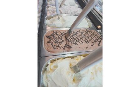 湘南茅ヶ崎の人気店 プレンティーズのアイスクリーム（バラエティセット10個） のし無