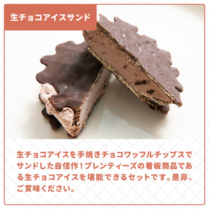プレンティーズ 生チョコアイスサンド 10個 生チョコアイス 生チョコ アイス チョコレート チョコ チョコアイス チョコレートアイス 生チョコレートアイス 茅ヶ崎名物 ローカルアイス お取り寄せ 送料無料 神奈川県 茅ヶ崎市 のし有