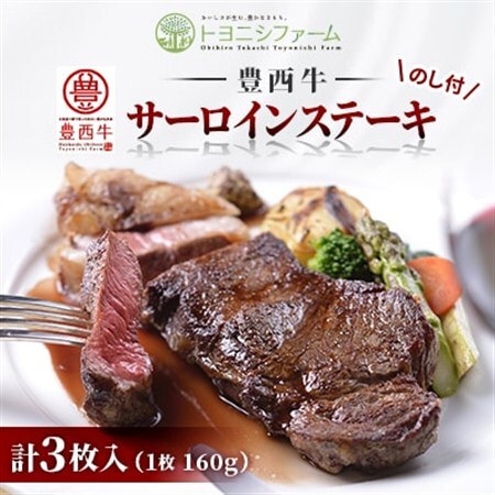 【のし付】豊西牛サーロインステーキ 3枚入 計480g ギフト 贈答用 トヨニシソース付_肉 ステーキ 牛肉 ビーフステーキ_【配送不可地域：離島】【1144345】