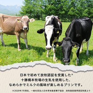 十勝ブラウンスイス乳プリン15個_菓子・スイーツ プリン _【配送不可地域:離島】【1473538】