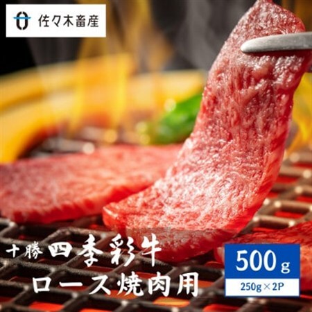 十勝四季彩牛ロース焼肉用500g(250g×2P)【国産交雑種】_肉 焼肉 牛肉 やきにく ヤキニク バーベキュー_【配送不可地域：離島】【1487534】