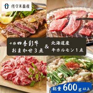 【総量600g以上】十勝四季彩牛(お任せ3点)＆北海道産牛ホルモン  詰め合わせセット_肉 ステーキ 牛肉 ビーフステーキ  肉 焼肉 牛肉 やきにく ヤキニク バーベキュー  肉  牛肉 _【配送不可地域：離島】【1487535】