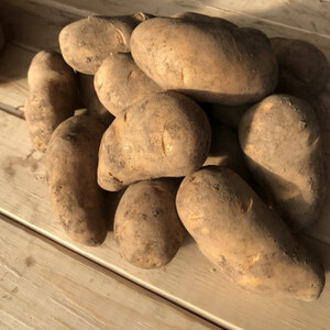 北海道十勝帯広産 じゃがいも 2種10kg(メークイン とうや )_野菜 じゃがいも いも ジャガイモ 馬鈴薯_【配送不可地域：離島】【1497186】