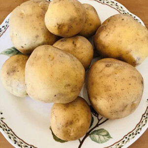 北海道十勝帯広産 じゃがいも 2種10kg(メークイン とうや )_野菜 じゃがいも いも ジャガイモ 馬鈴薯_【配送不可地域：離島】【1497186】