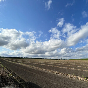 北海道十勝帯広産 じゃがいも 2種10kg(メークイン とうや )_野菜 じゃがいも いも ジャガイモ 馬鈴薯_【配送不可地域：離島】【1497186】