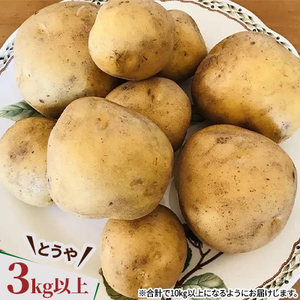 じゃがいも2種 玉ねぎ 合計10kgセット 北海道十勝帯広産_野菜 玉ねぎ  たまねぎ タマネギ  野菜 じゃがいも いも ジャガイモ 馬鈴薯_【配送不可地域：離島】【1497190】