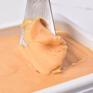 北海道産ヴィーガンジェラート　夕張メロン　2L　ディッシャー付き_菓子・スイーツ アイス・ジェラート  _【配送不可地域：離島】【1488945】