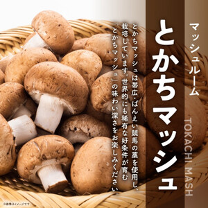 十勝 乾燥 マッシュルーム 15g 4パック とかちマッシュ 即席で便利 北海道 帯広市_野菜  きのこ _【1495674】