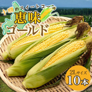 【2026年 先行受付】十勝 恵味ゴールド 10本 2Lサイズ 甘いスイートコーン 北海道 帯広市_野菜 とうもろこし  トウモロコシ_【配送不可地域：離島】【1499657】