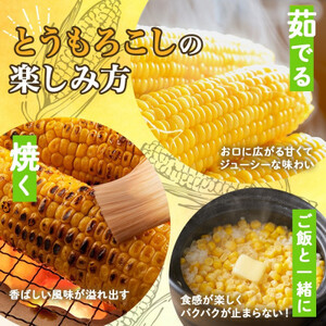【2026年 先行受付】十勝 恵味ゴールド 10本 2Lサイズ 甘いスイートコーン 北海道 帯広市_野菜 とうもろこし  トウモロコシ_【配送不可地域：離島】【1499657】