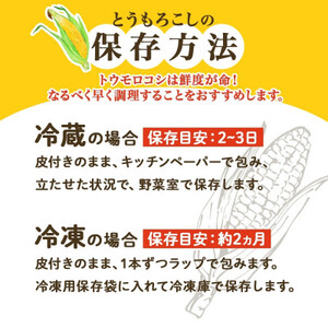 【2026年 先行受付】十勝 恵味ゴールド 10本 2Lサイズ 甘いスイートコーン 北海道 帯広市_野菜 とうもろこし  トウモロコシ_【配送不可地域：離島】【1499657】