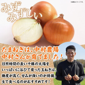 十勝 玉ねぎ 5kg メークイン じゃがいも 5kg 計10kg 農家さんのお野菜 北海道 帯広市_野菜 玉ねぎ  たまねぎ タマネギ  野菜 じゃがいも いも ジャガイモ 馬鈴薯_【1514129】