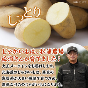 十勝 玉ねぎ 5kg メークイン じゃがいも 5kg 計10kg 農家さんのお野菜 北海道 帯広市_野菜 玉ねぎ  たまねぎ タマネギ  野菜 じゃがいも いも ジャガイモ 馬鈴薯_【1514129】