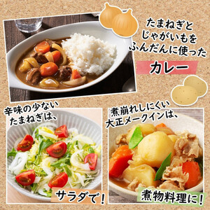 十勝 玉ねぎ 5kg メークイン じゃがいも 5kg 計10kg 農家さんのお野菜 北海道 帯広市_野菜 玉ねぎ  たまねぎ タマネギ  野菜 じゃがいも いも ジャガイモ 馬鈴薯_【1514129】