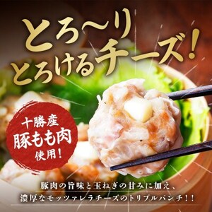 十勝 チーズ入り肉しゅうまい 8個入り×2パック 北海道産豚肉使用 北海道 帯広市_惣菜・加工品   _【配送不可地域：離島】【1514151】