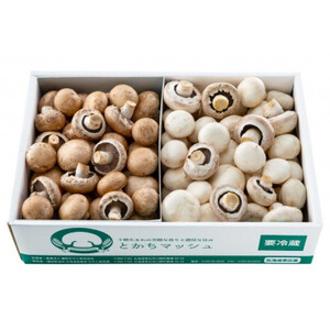 とかちマッシュ ホワイト・ブラウンMIX1.5kg_野菜  きのこ _【配送不可地域：離島】【1501669】