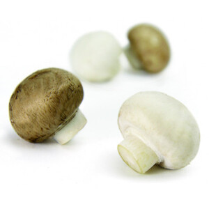 とかちマッシュ ホワイト・ブラウンMIX1.5kg_野菜  きのこ _【配送不可地域：離島】【1501669】