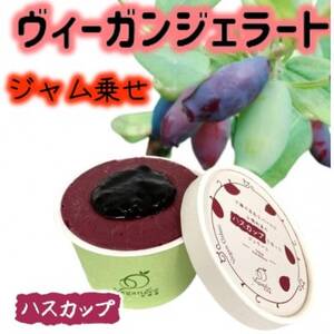 北海道産ヴィーガンジェラート　ハスカップ　ジャム乗せ　6個_菓子・スイーツ アイス・ジェラート  _【配送不可地域：離島】【1556673】 4,250円