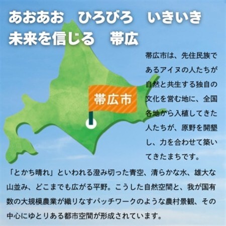 【返礼品なし】帯広市への応援寄附(1口5,000円)