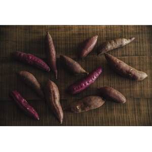 北海道産 こだわり素材の濃厚スイートポテト 5個【配送不可地域:離島】【1608973】