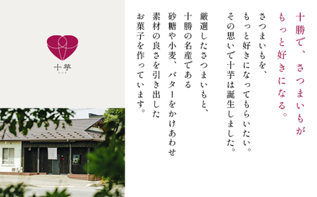 北海道産　こだわり素材の濃厚スイートポテト　5個【配送不可地域：離島】【1608973】