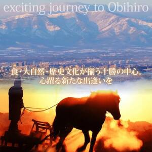 【北海道ツアー】帯広市 後から選べる旅行Webカタログで使える!旅行クーポン 15万円分【1181751】