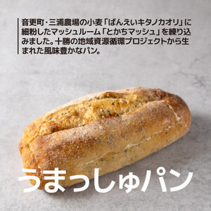 十勝産小麦100%使用 麦音こだわりパンセット【配送不可地域：離島】【1639522】