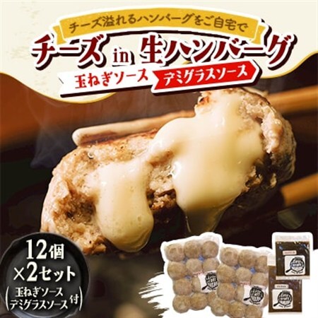 チーズ in 生ハンバーグ 12個×2(玉ねぎソース150g、デミグラスソース250g 各1個)【配送不可地域：離島】【1673880】