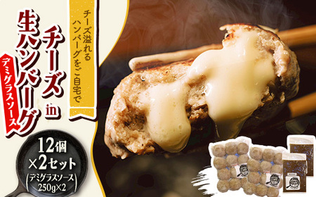 チーズ in 生ハンバーグ 12個×2セット+デミグラスソース250g×2【配送不可地域：離島】【1673883】