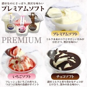 十勝橋本牧場 プレミアムソフト 全味食べ比べセット(3種×各3個)【配送不可地域：離島・沖縄県】【1675557】